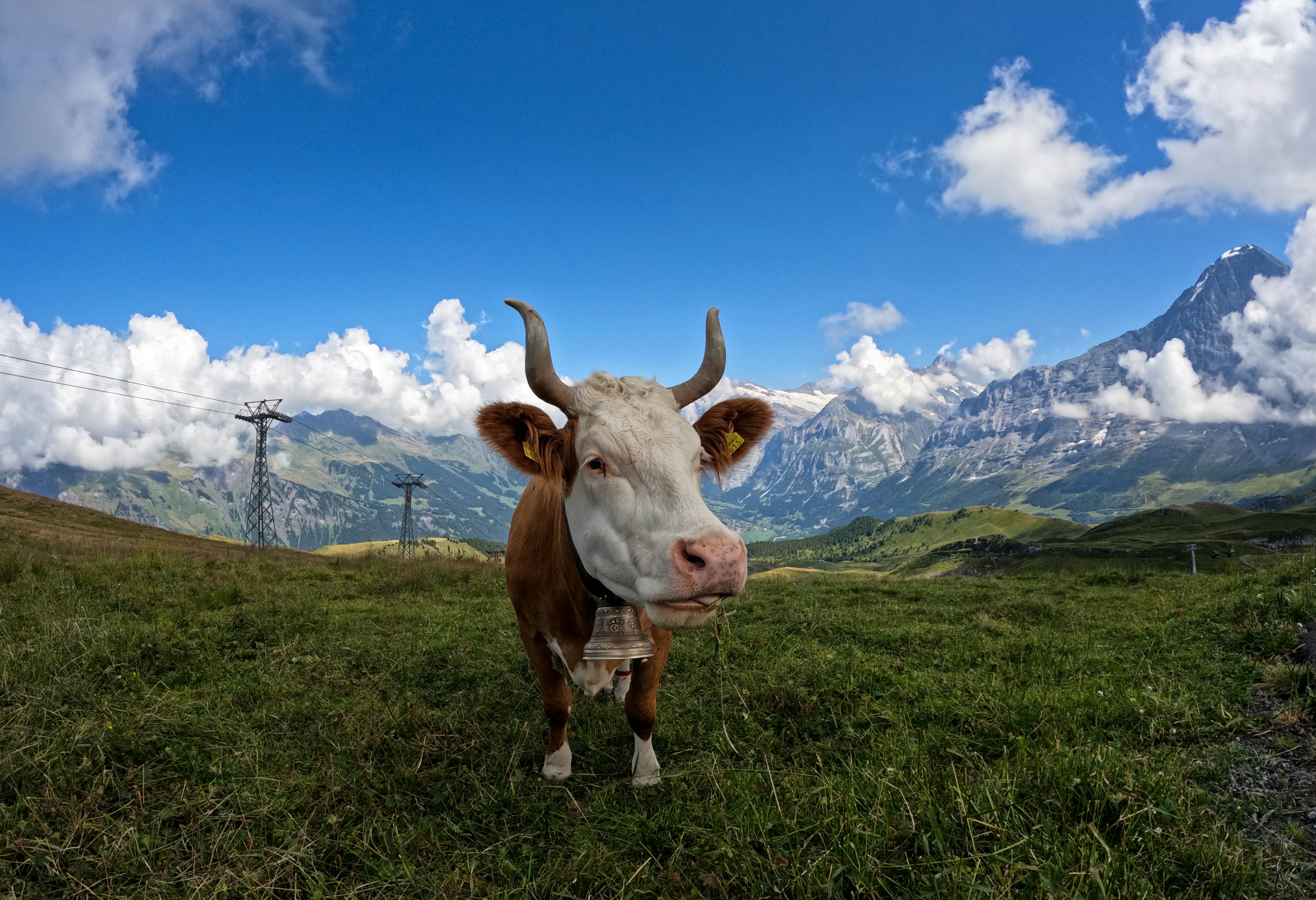 Grindelwald
